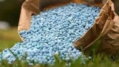 生物菌肥你真的會用嗎?這5大誤區(qū)你是否都知道