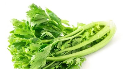 磷酸二氫鉀，能和殺菌劑混用嗎?別再犯錯啦!