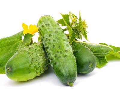 面對(duì)黃瓜莖稈開(kāi)裂的情況該如何應(yīng)對(duì)？