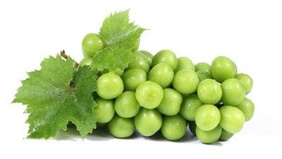 葡萄冬天怎么防凍，葡萄防凍時(shí)間及防凍措施