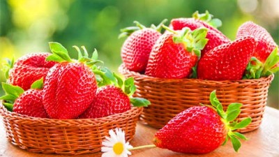 夏季草莓應(yīng)該如何澆水？