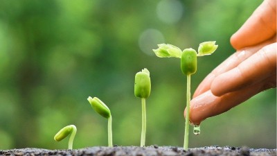 為什么肥料里有“腐植酸”效果就好？萊昂水溶肥給你答案