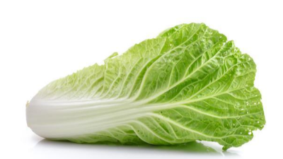 大白菜生長(zhǎng)分為按幾個(gè)階段?該注意什么?