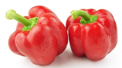 高溫多雨，辣椒炭疽病來勢洶洶，如何防治?