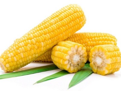 玉米追肥的最佳時(shí)間是什么時(shí)候？