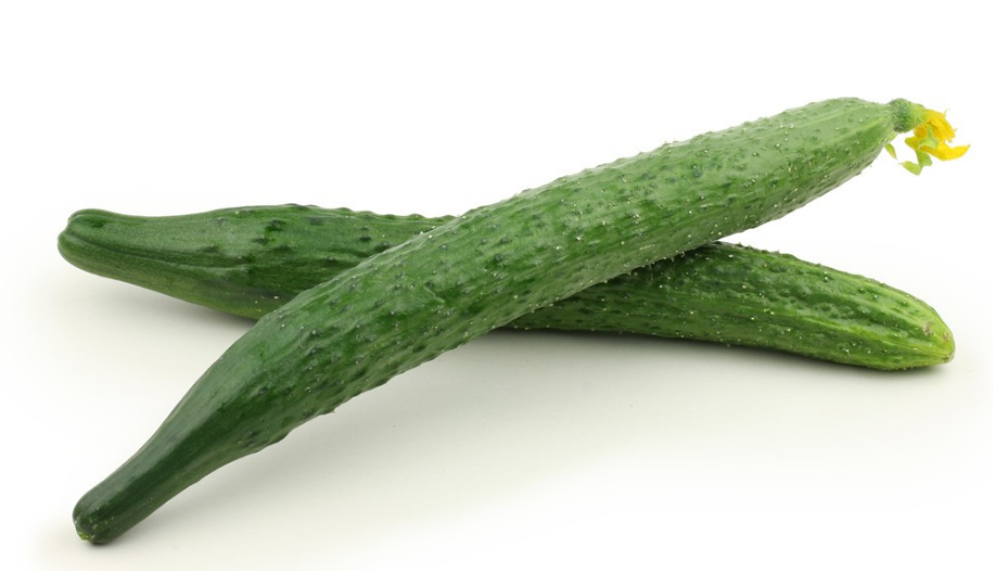 地里種植的黃瓜出現(xiàn)了很多大頭瓜，什么原因造成的?