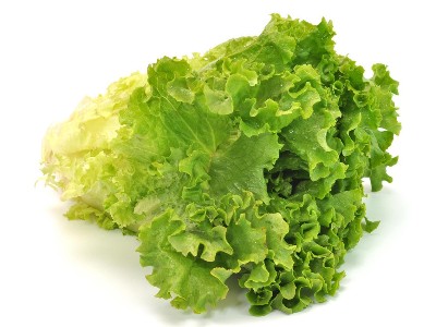 生菜什么時(shí)候種?可以從這幾個(gè)方面來(lái)選擇!