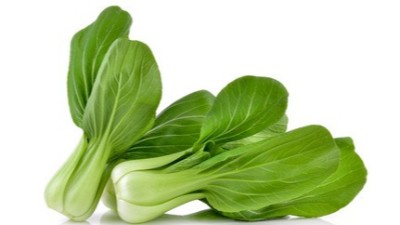 大棚蔬菜怎么進(jìn)行防凍措施?這些“抗凍”方案特別好使!