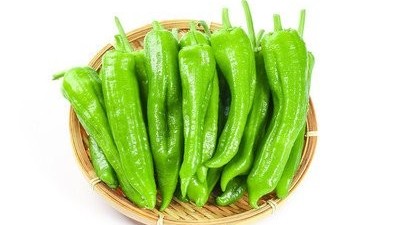 辣椒冬季澆水注意事項(xiàng)
