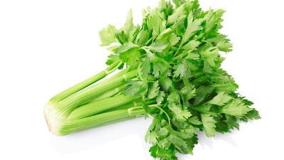 芹菜冬季如何越冬?這四大措施菜農必看!