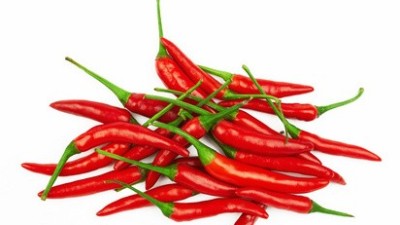 番茄、黃瓜、辣椒等蔬菜病毒病，抓住技巧，防治不難