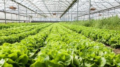 天冷了，你家大棚咋增溫?溫室大棚增溫的10個(gè)妙招!