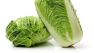 白菜在秋季的管理技巧，這一些要知道!