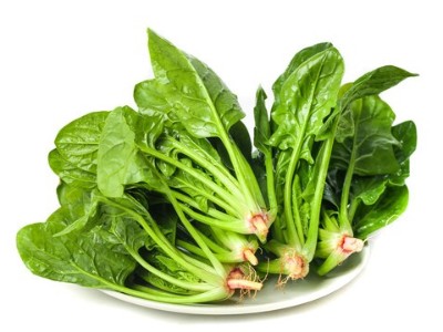 菠菜病毒病有什么癥狀？該怎么防治？