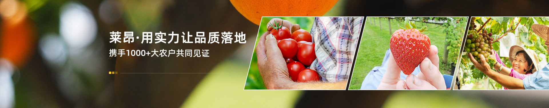 萊昂  用實力讓品質落地