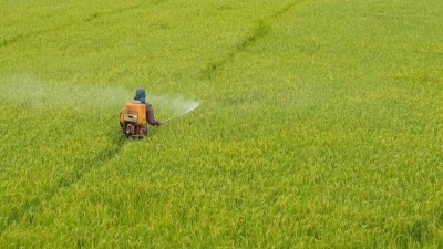 這樣打農(nóng)藥，效果不會(huì)好!這些錯(cuò)誤你犯過幾個(gè)?