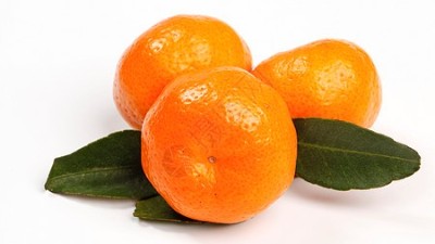 果樹秋季應(yīng)該如何施肥?