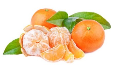 秋季柑橘管理的四個(gè)要點(diǎn)：施肥、疏果、防裂果