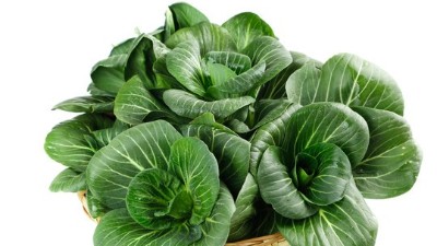 蔬菜養(yǎng)根，土壤環(huán)境很重要