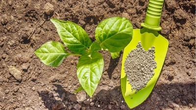 化肥、有機肥和生物菌肥各自有哪些不同？優(yōu)缺點是什么呢？