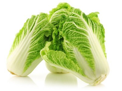 白菜蚜蟲(chóng)的為害特點(diǎn)及防治措施