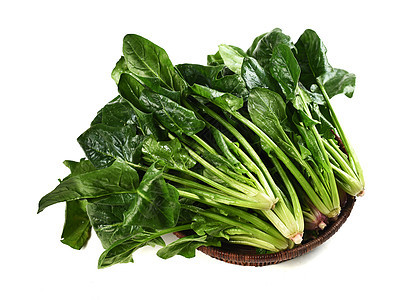早春蔬菜定植如何才能提高成活率，避免出現(xiàn)死棵？