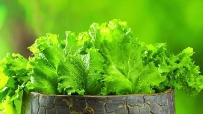 請注意!這4點(diǎn)沒做好，蔬菜或?qū)?yán)重減產(chǎn)